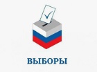 Президентские выборы: на 18-00 в Новосибирской области проголосовало 60,17% избирателей